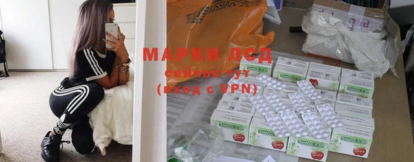 дживик Майский