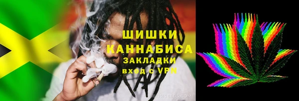 дживик Майский
