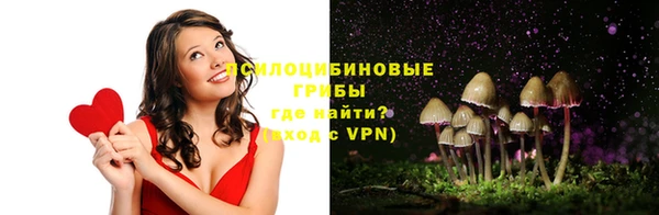 бошки Магас