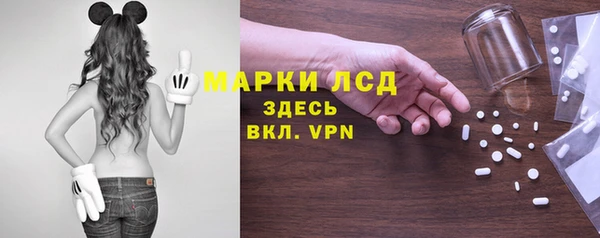 дживик Майский