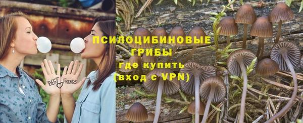 бошки Магас