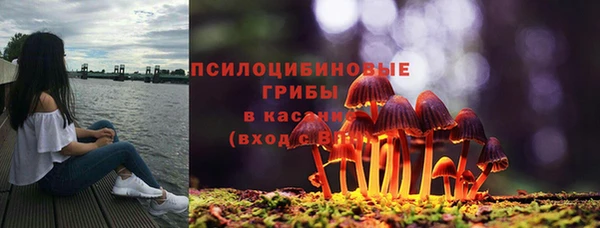 PSILOCYBIN Горно-Алтайск