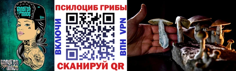 Псилоцибиновые грибы прущие грибы  Зуевка 